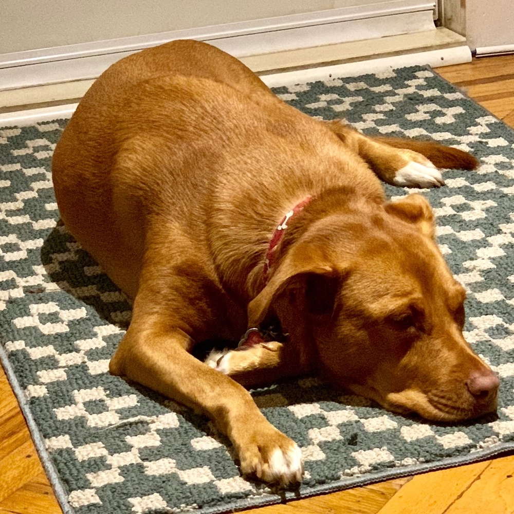 Meet your Posher, Edwin